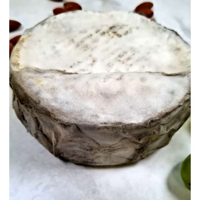 Comprar Queso Terra Online | Queso Terra Gourmet