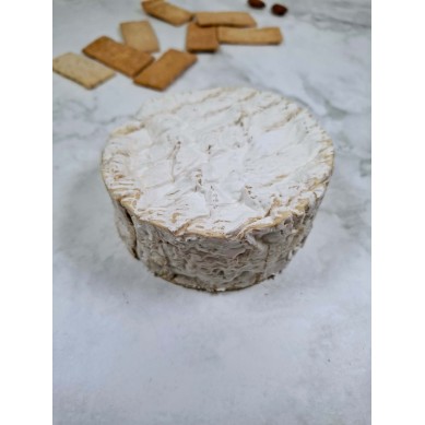 Queso Camembert de Normandía AOP Online | Precio Outlet Queso Camembert de Normandía AOP